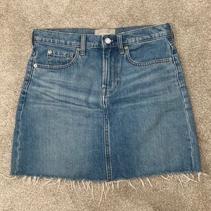 Everlane Denim Skirt